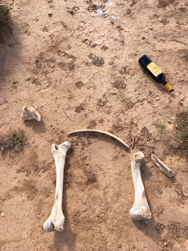 Bones guelmin sahara