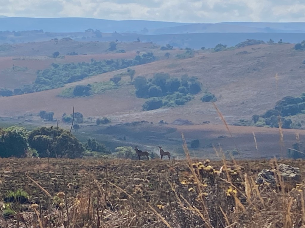 elands nyika plateau chelinda bikepacking cyclotouring