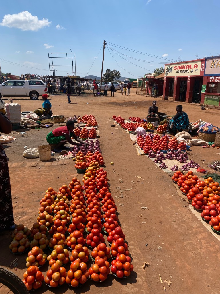 Bikepacking cycle touring cycling Malawi Karonga Nyika Vwaza Nkhata  bicycle Lake