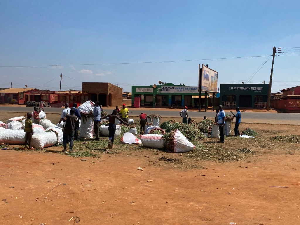 Bikepacking cycle touring cycling Malawi Karonga Nyika Vwaza Nkhata  bicycle Lake