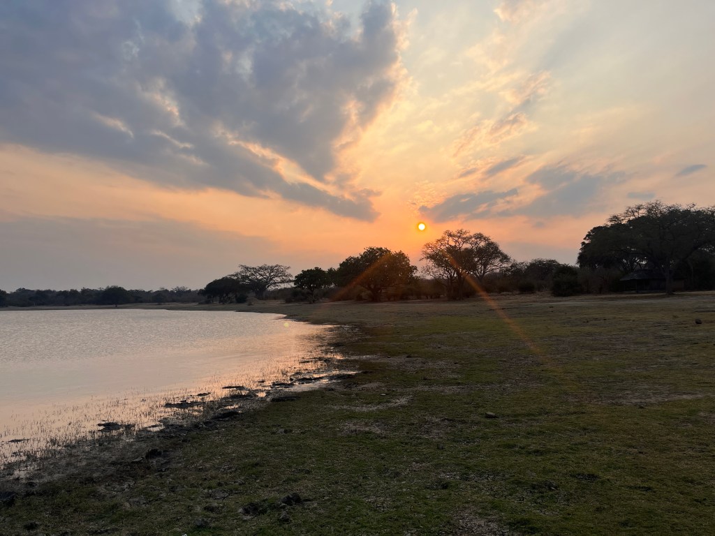 Vwasa réserve biking 