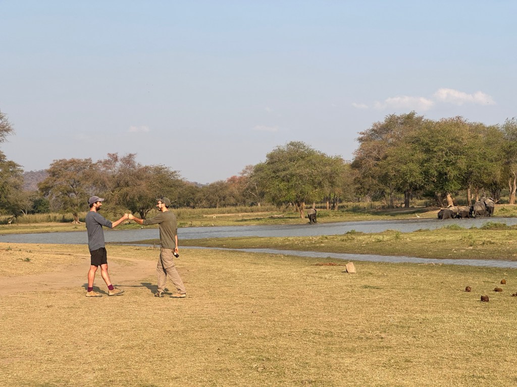 Cycling picking Vwasa elephants 