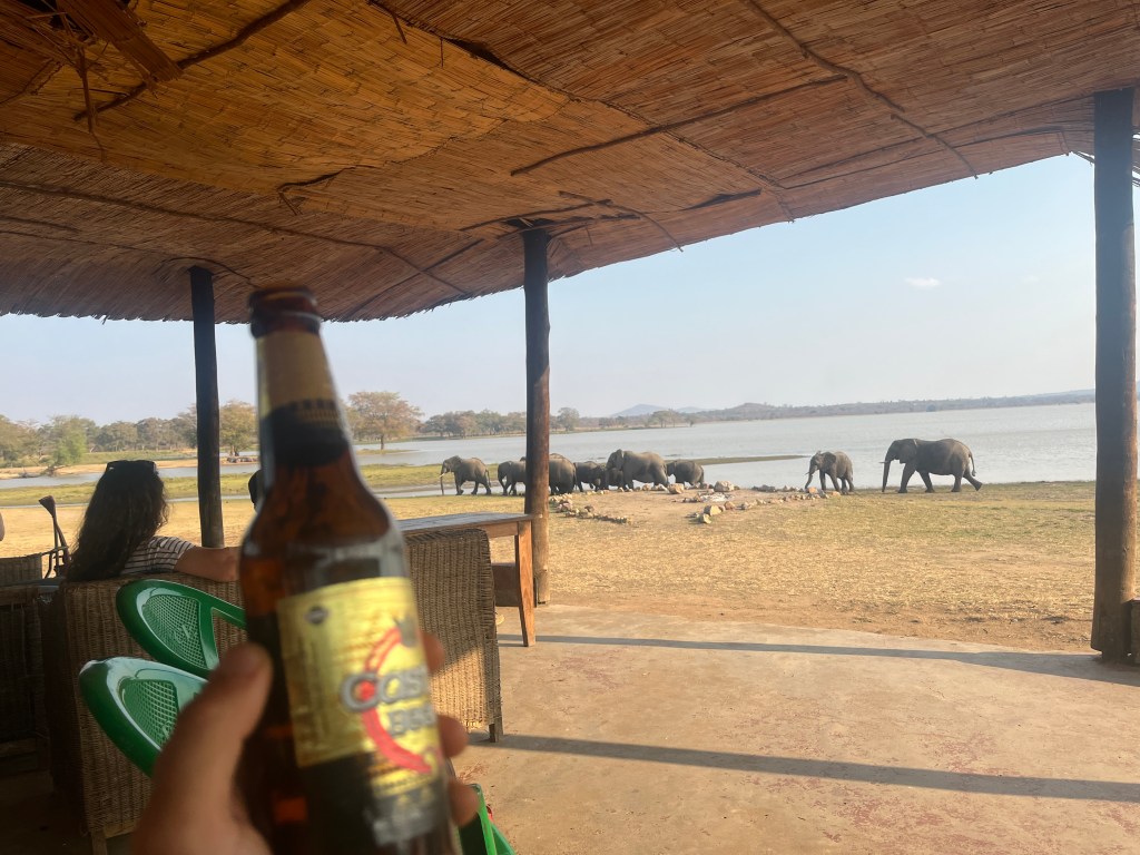 Biking cycling Vwasa elephants 