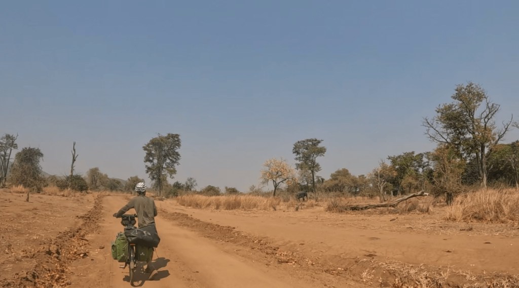 Wild elephant encounter old petauke road cycling biking