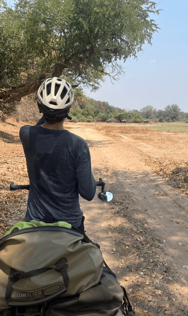 Old petauke road cycling bikepacking elephants 