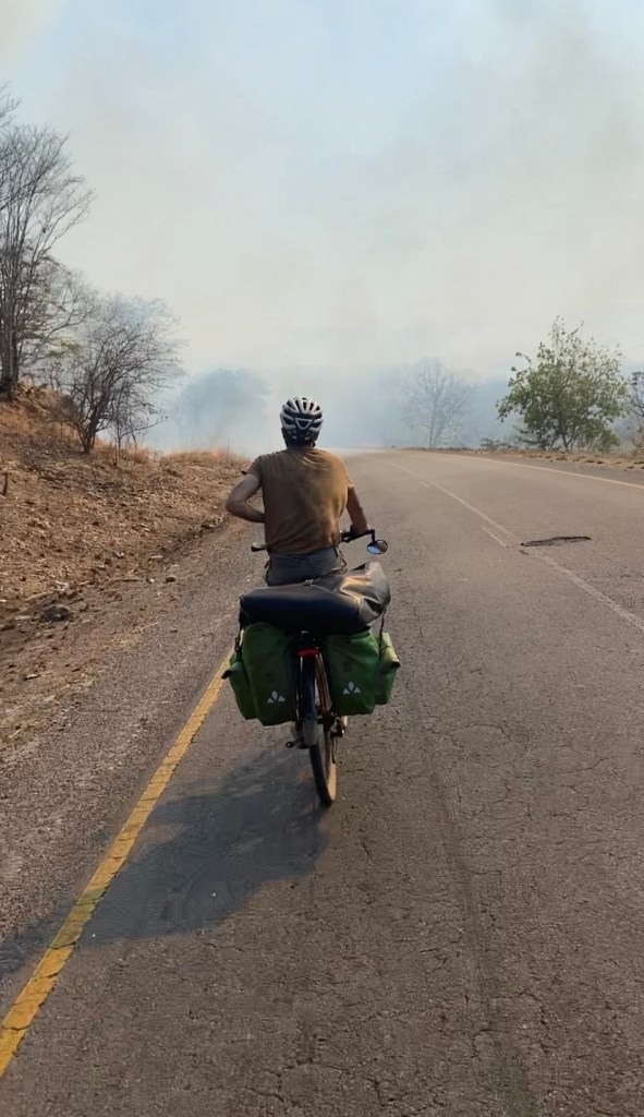 Burned vegetation (or regenerated) while biking to Lusaka 