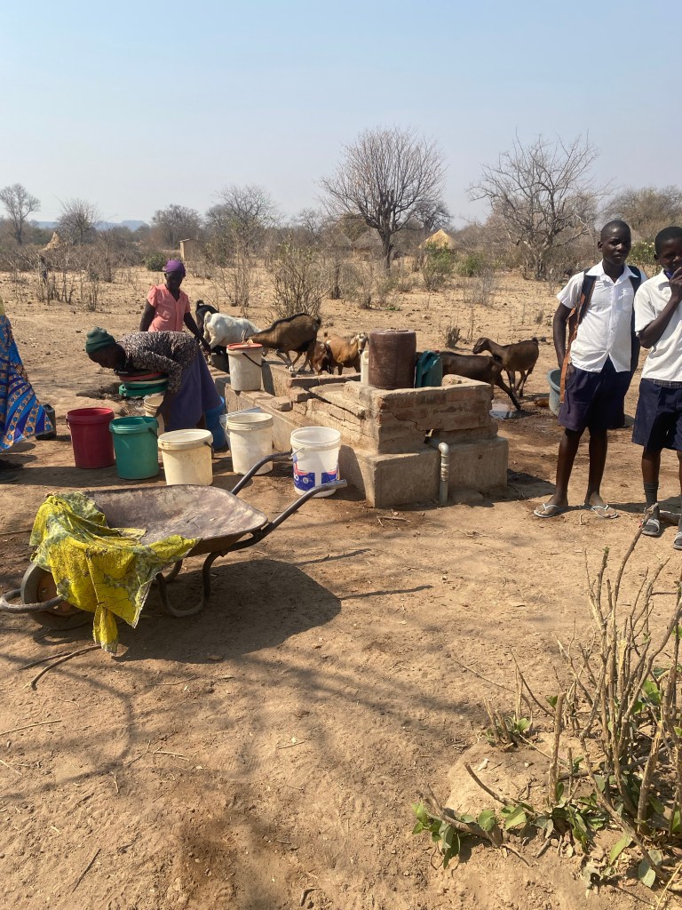 Borehole in Zimbabwe share by cyclist and goats