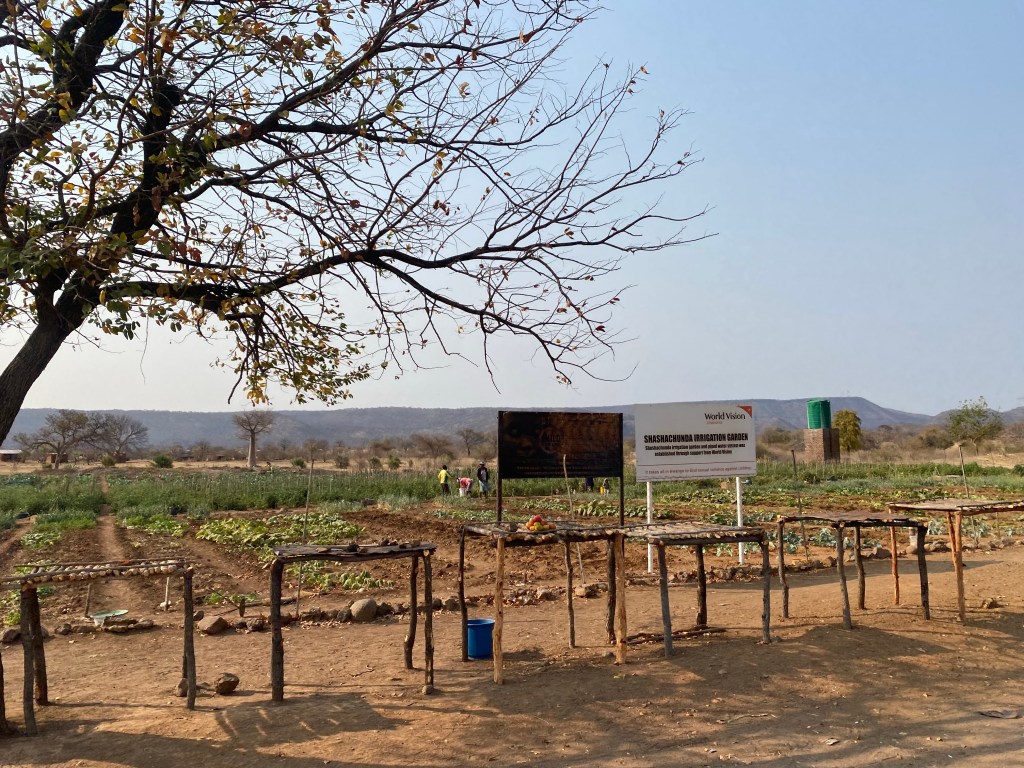Plantation in northern Zimbabwe