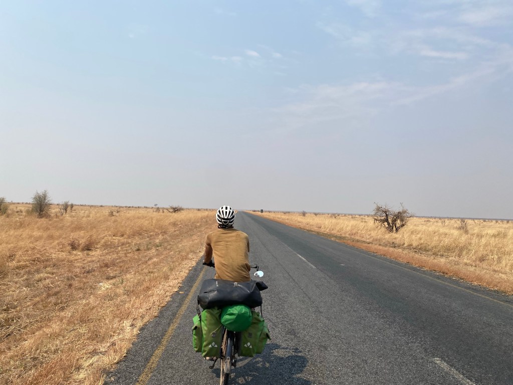 Cyclist on elephant highway in Botswana 