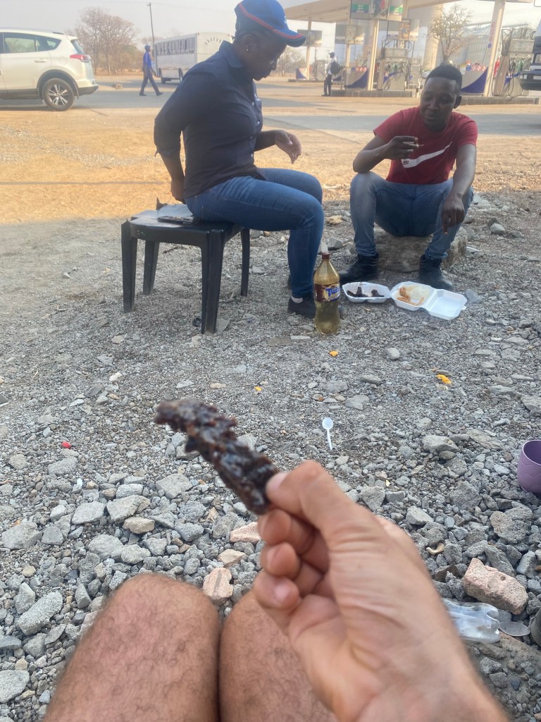 Elephant jerkies in Botswana 