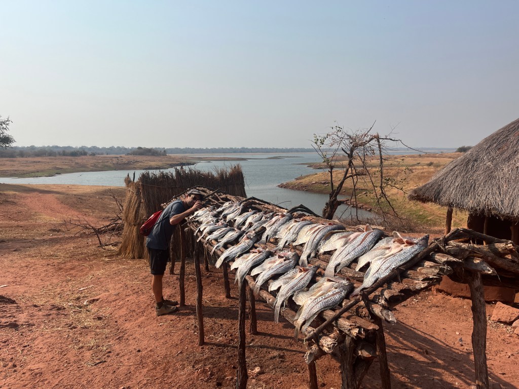 Salt drying fishes in a fisherman village in Zimbabwe