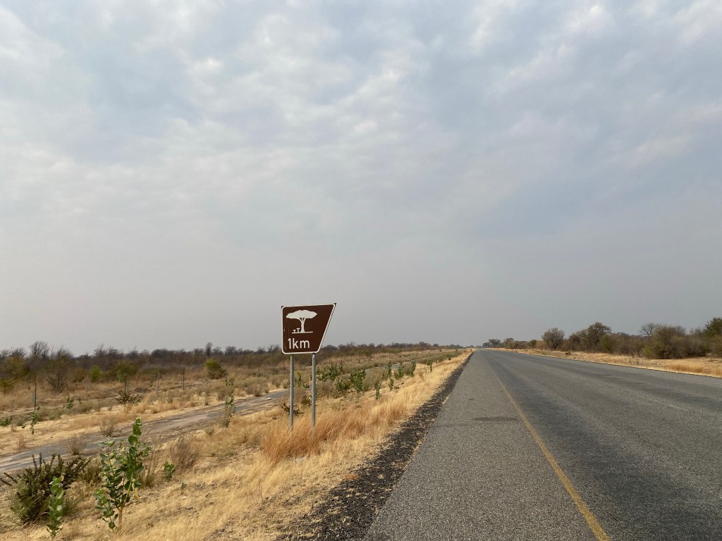 Picnic area on elephant highway in Botswana 