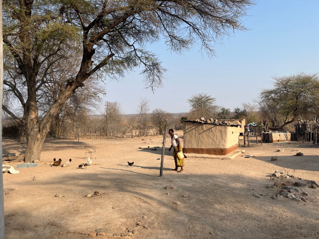 Woman carrying some borehole water in Zimbabwe