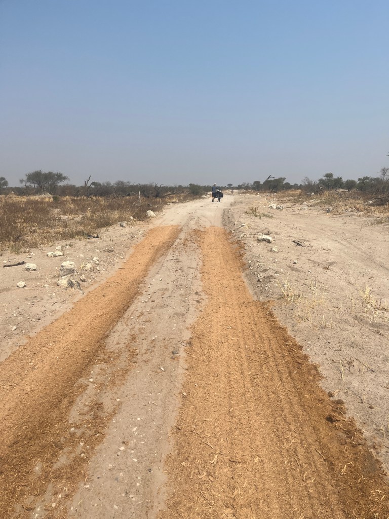 Road covered with elephant poop in deep sand areas 