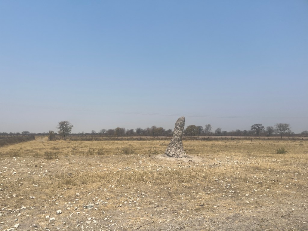 termite mound on the side of the road in Botswana 