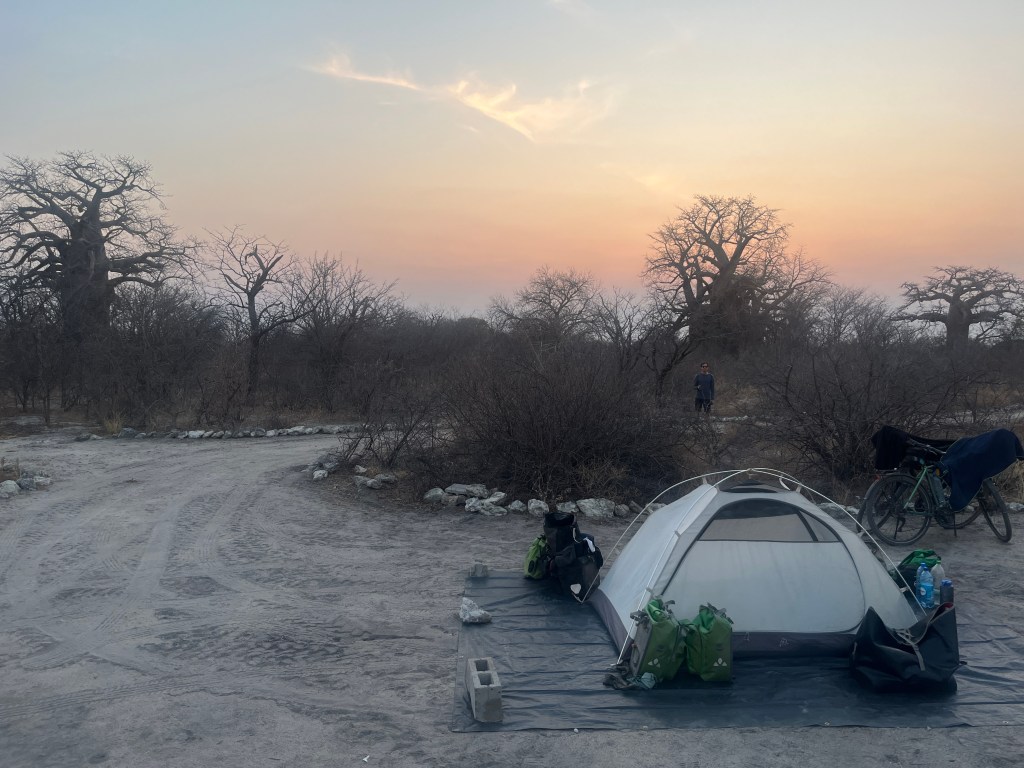 A pitched tent at planet baobab Botswana