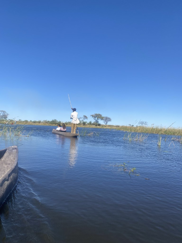 A mokoro in the Okavango delta 