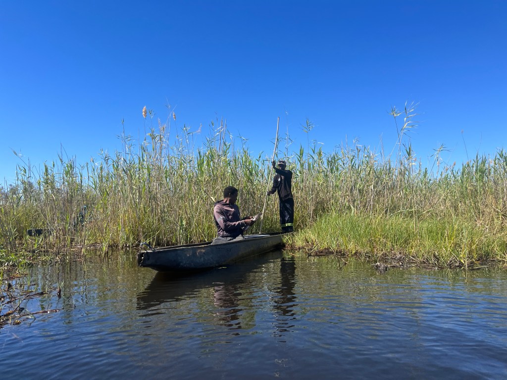 Fisherman in a mokoro 