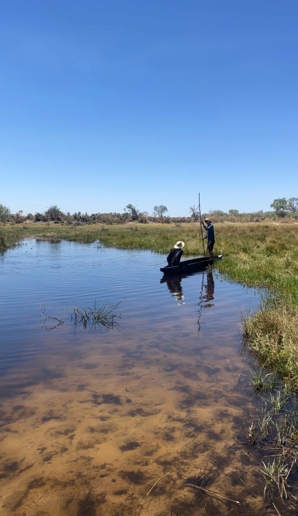 A cyclist Learning to drive a mokoro 